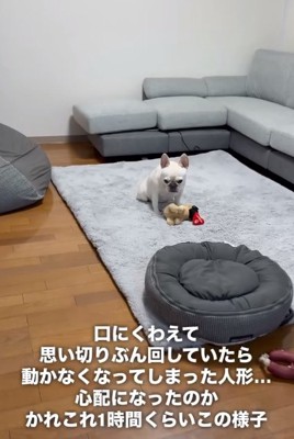 落ち込むアビーちゃん1