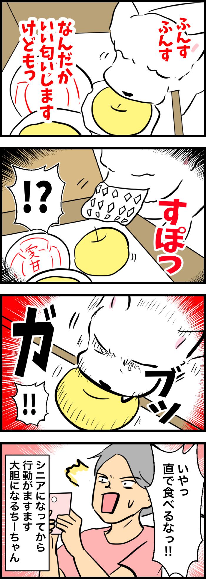 ちーちゃんですけどもっ【第321話】「大好物ですけどもっ」