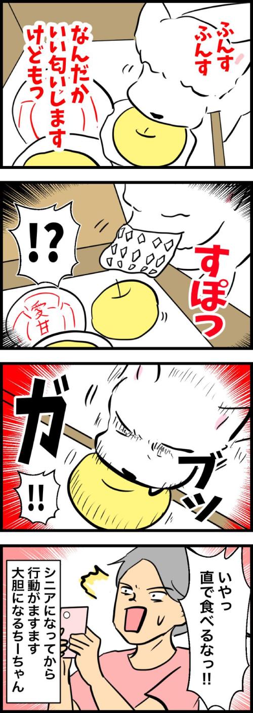 ちーちゃんですけどもっ【第321話】２