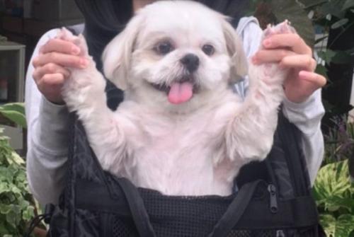 可愛すぎ
