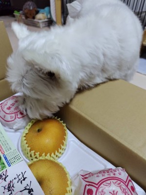 ちーちゃん