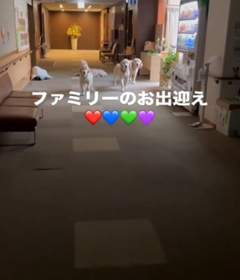 4匹の犬1