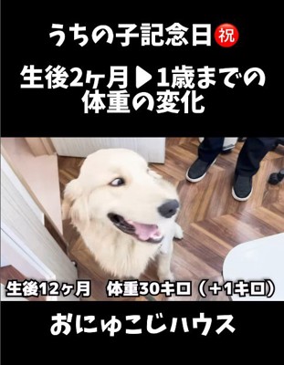 麹くんの成長9