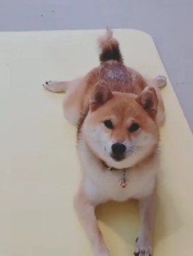 「なにか？」
