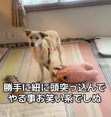 お笑い担当かな！？