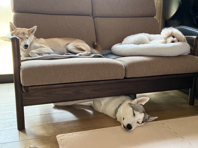 幸せな日々