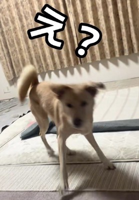 お転婆っ子に変貌！！