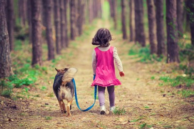 散歩、犬と少女の後ろ姿