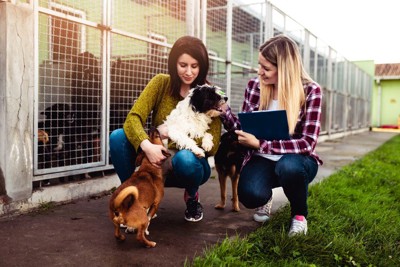 保護犬を迎えようとする女性
