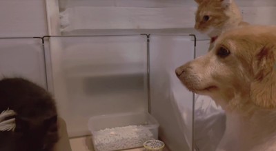 感情を教えてくれｗ