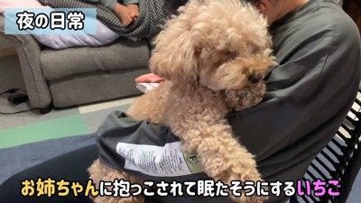 寝る前のいちごちゃん
