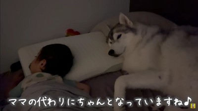 「寂しくないよ」
