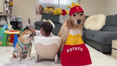 ドライブスルーごっこ！