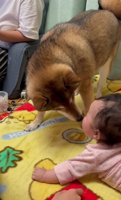 「すごいでしょ？」