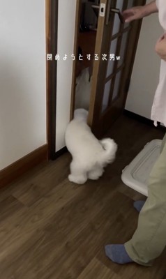 「入るよっ」