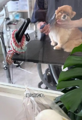 「きもちいいわ～」
