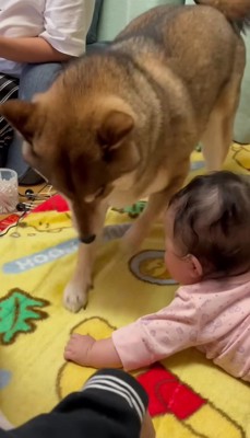 珍しいお客さんもいた