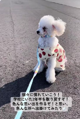 自然の中って気持ちいい