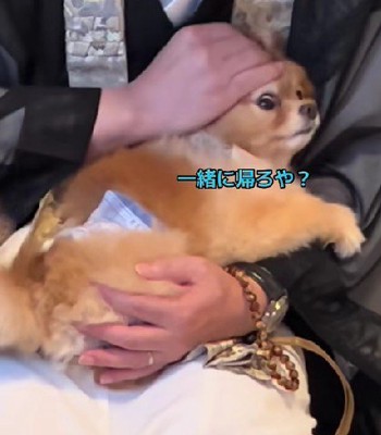 「ええやろ～」