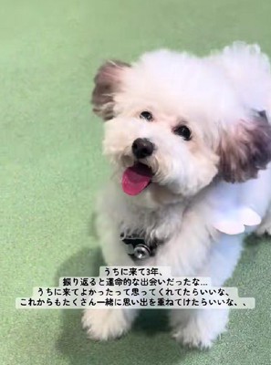 表情も変わったね！