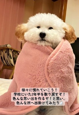 徐々に慣れていこう！