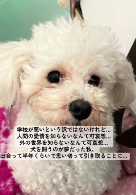 2年半ずっとケージの中