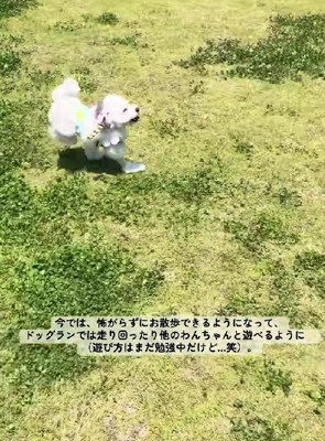 ドッグランを満喫中♪