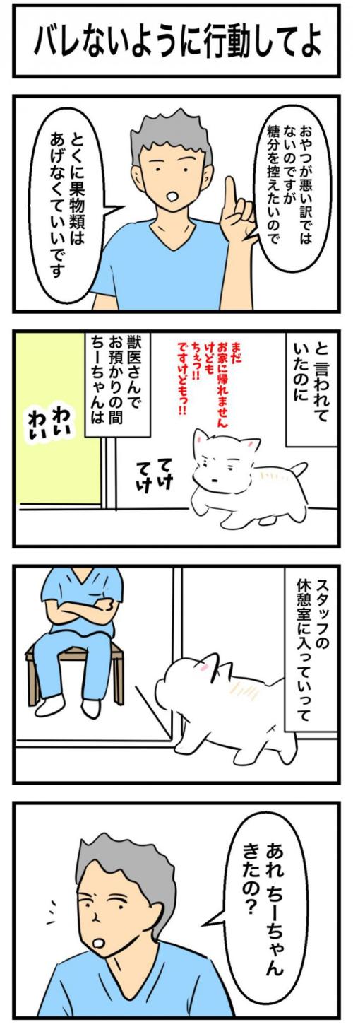 ちーちゃんですけどもっ【第322話】 1