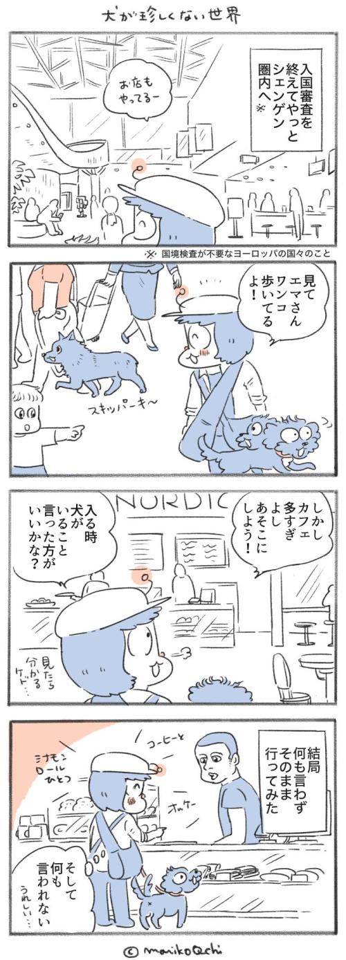 犬と暮らせば【第503話】