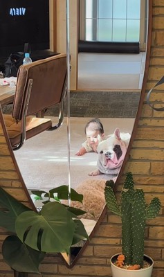 こぶし君と赤ちゃん9