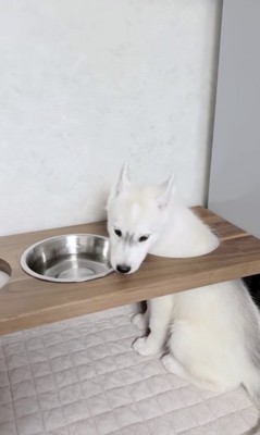 大満足！