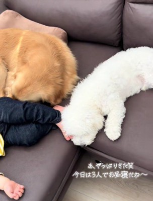 仲間入り♪