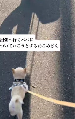 「パパどこ行くの？」