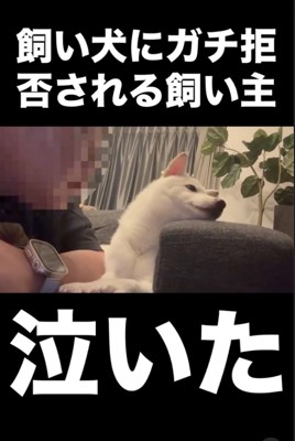 逆向いちゃった！