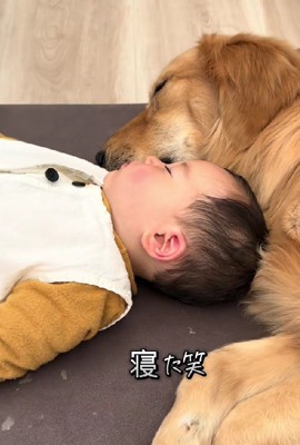尊い展開にホッコリ