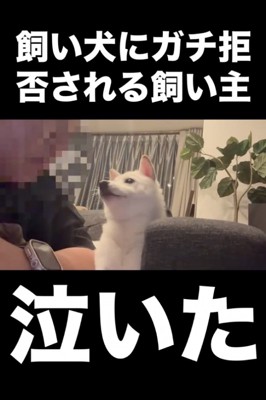「まだやる？」