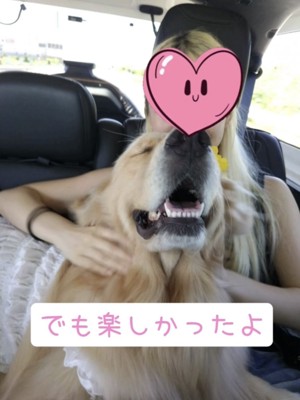 笑顔の犬