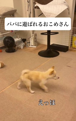 遊ばれてる…！？