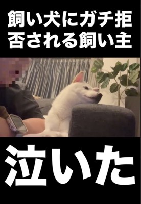 届け愛情…