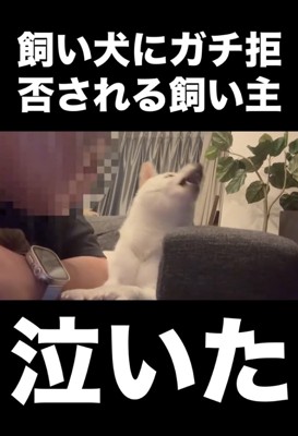 プイッッ