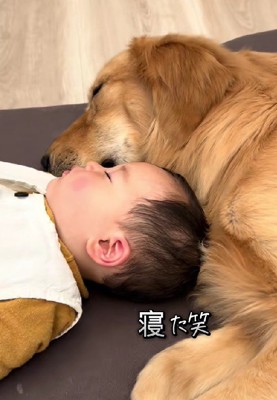 熟睡中♡