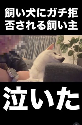 完全に拒否…！