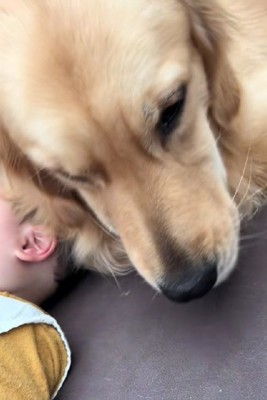 なにやら眠そう…