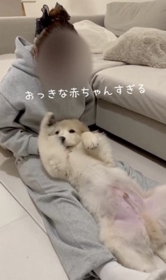 信頼感のみ