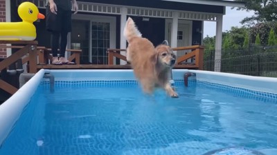 豪快なジャンプ！！