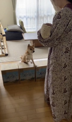 「きゅーん」