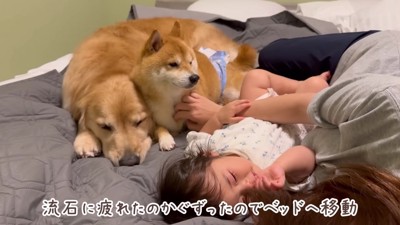 夢の中でも遊ぼうね！！