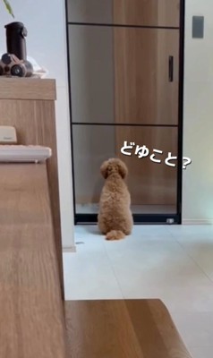 ママさんを待つぷぅと君3