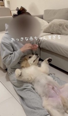 「！！」