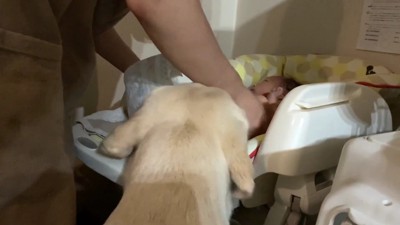 「ちゃんと眠れるかな？」